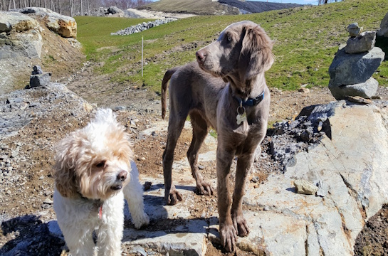 Slider - 03 - 20180420