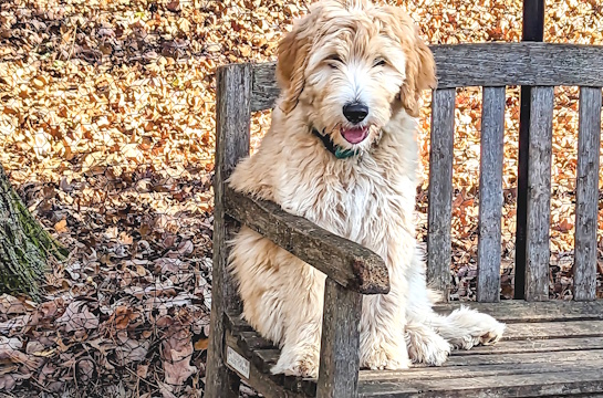 Slider Photo-DC-545-05